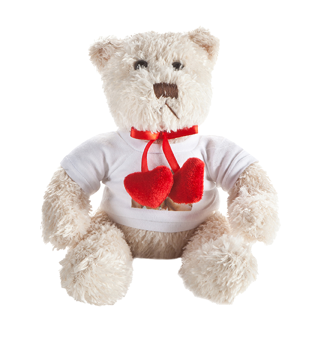 peluche ourson fujifilm
